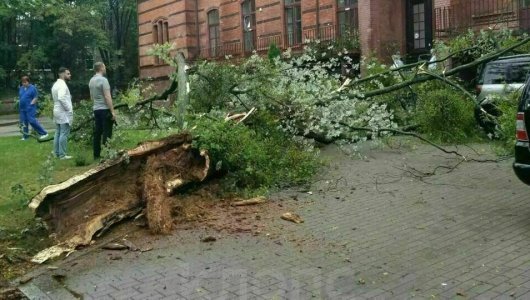 Реки во дворах и поваленные деревья. В городе все еще бушует непогода. 