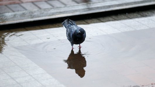 В Калининградской области ожидается пасмурная погода в выходные