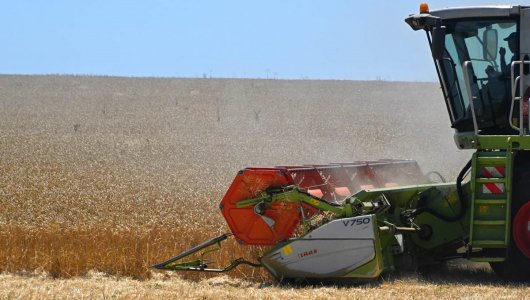 Минсельхоз предложил ограничить экспорт твердой пшеницы из России на полгода