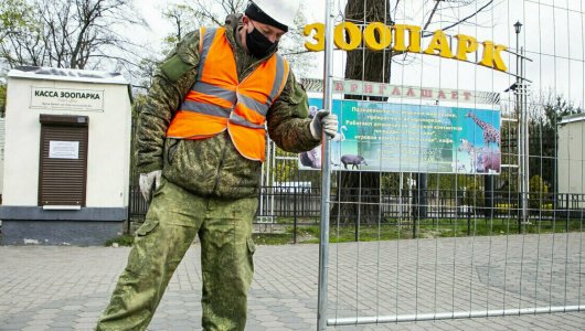 «3,1 миллиона рублей на асфальт» В Калининградском зоопарке планируют заменить асфальтобетонное