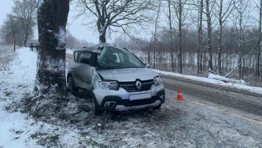 В Зеленоградском районе «Рено» намотался на дерево