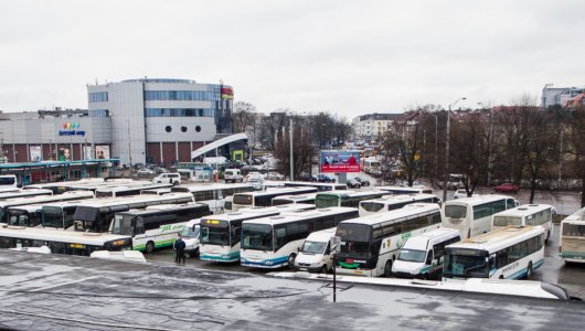 В Калининграде часть общественного транспорта не смогла выйти на линию из-за мороза