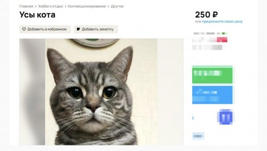 Находчивый мужчина решил заработать на собственном коте.  Причем продавал кота по частям