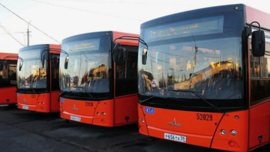 Власти Калининграда обещают штрафовать перевозчиков, которые после морозов не выпустили свои автобусы на линию