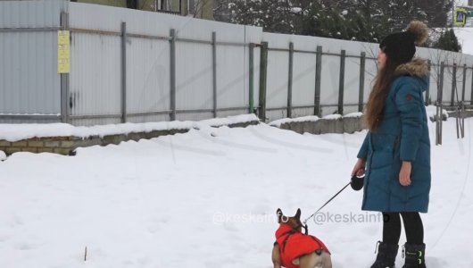 В Калининграде 10-летняя девочка упала в канализационный колодец, спасая собаку. 