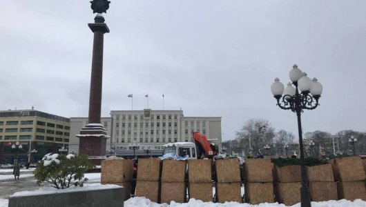 На площади Победы в Калининграде начали устанавливать новогоднюю елку.