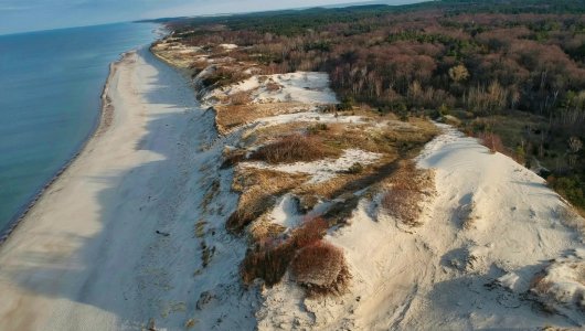 Из Зеленоградска до Куршской косы до 1 апреля сократят количество автобусов