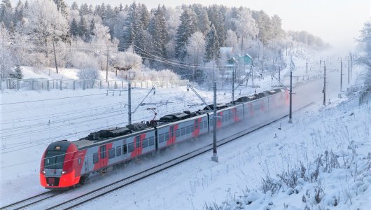 Более 100 детей, ехавших из лагеря, были вынуждены сойти с поезда и поехать в больницу. Подробности российского происшествия