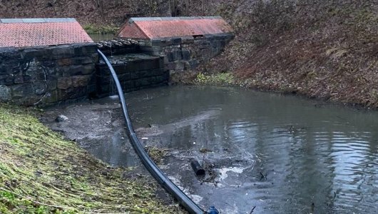 В Калининграде началась расчистка русла Литовского ручья: важный этап в оздоровлении городской среды