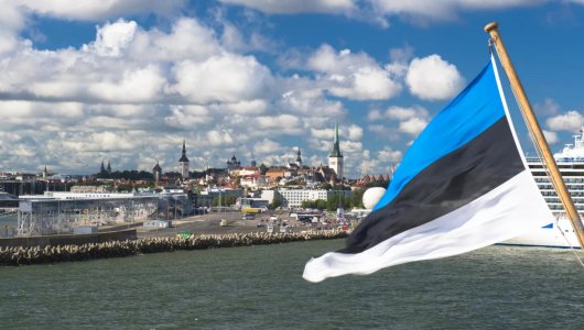 Эстония хочет выслать украинских граждан на родину, которые уклоняются от военной службы