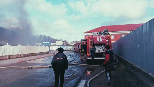 Токсичный дым со склада: масштабный пожар в поселке в Калининградской области. Подробности происшествия