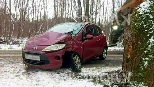 На скорости влетела в дерево! Под Зеленоградском произошла страшная авария с участием легковушки. Есть пострадавшие