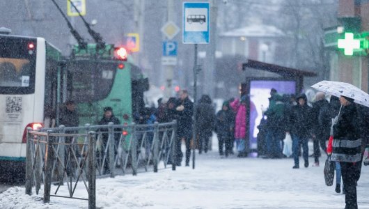 По какому расписанию будет ходить общественный транспорт в Калининграде в выходные? Власти дали ответ