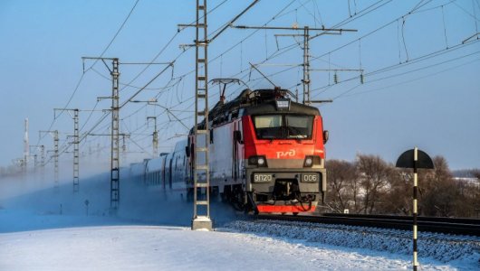 ФПК провела свое расследование в деле об выброшенном коте Твиксе