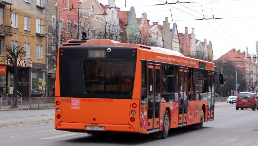 Маршруты каких автобусов в Калининграде были изменены из-за затопленных улиц? Погода снова не дает расслабиться