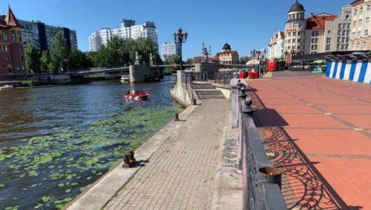 Причал у Рыбной деревни начнут сдавать в аренду? Сколько будет стоить?