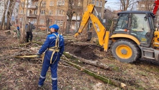 Огромная яма образовалась у входа в калининградский зоопарк. Что произошло и какие последствия