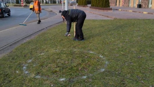 А пришельцы ли оставляют белые круги на газонах Зеленоградска