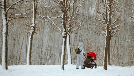 На первого ребенка в России выдали более 1,9 миллиона сертификатов материнского капитала