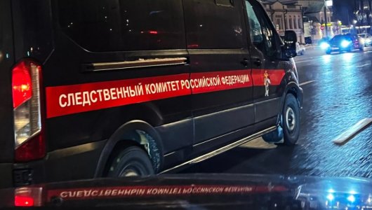 Воспитательница избивала 3-летнюю девочку в детском саду