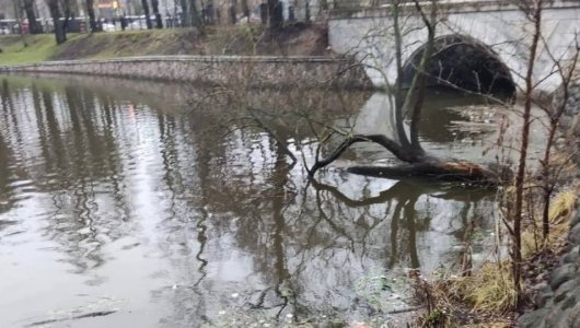 Действительно ли кем-то загрязняется Верхнее озеро в Калининграде. Прокуратура займется проверкой