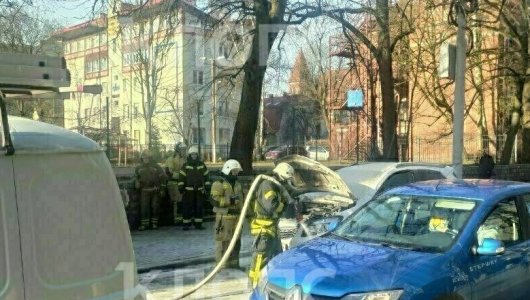 Привязали к позорному столбу посреди улицы и жестко выебли на людях