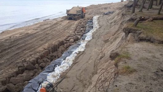 В поселке Куликово укрепляют сосновый лес и восстанавливают пляж