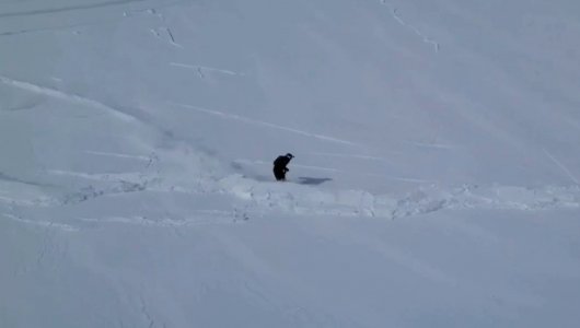 В Хакасии сошла лавина прямо во время спуска сноубордиста (ВИДЕО)