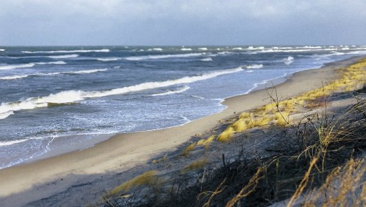 Апрельская температура пришла в середине марта. Прогноз погоды в Калининграде на 14 марта