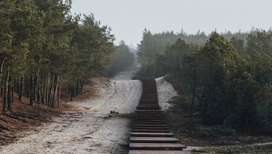 Калининградцам и туристам рассказали, за что на пляжах Куршской косы сейчас можно получить большой штраф