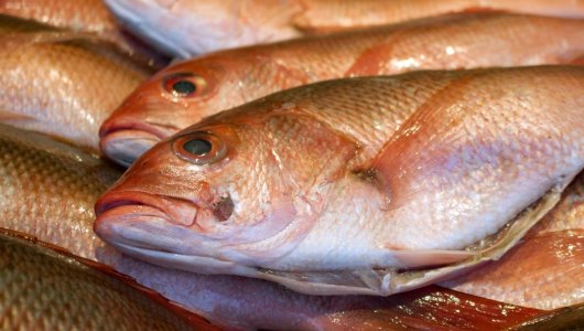 Власти рассказали, почему цены на рыбу в Калининградской области начали расти
