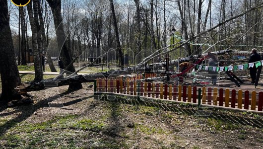 Скончалась в реанимации двухлетняя девочка, несколько дней назад на нее упало дерево в парке 