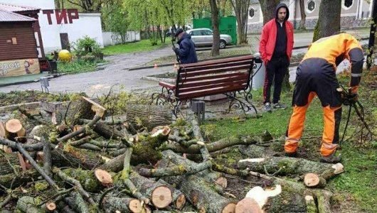 Как сейчас обстоит ситуация с раздачей бесплатных дров в Центральном парке в Калининграде