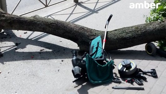 Труп в поликлинике, упавшее дерево на ребенка. Важные события минувшего дня в Калининграде