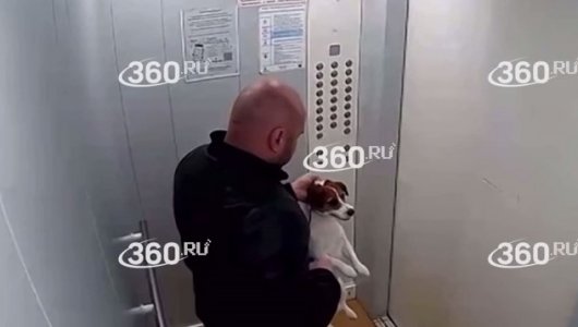 «Пинал ногами до самой квартиры» В сети появились кадры жуткого избиения щенка в Челябинске (ВИДЕО)