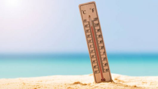 Сколько градусов температура воды в море и заливе Калининградской области