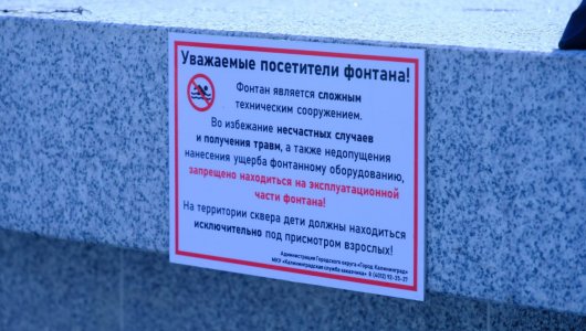 Что власти Калининграда попросили не делать детям в центре города 