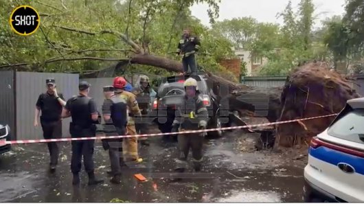 Страшный ураган в Москве и всей Московской области: смерчи, сильный ливень и много поваленных деревьев (ВИДЕО) 