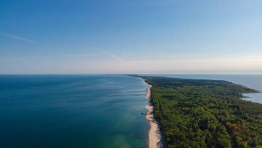 Ученые бьют тревогу: что за новость встревожила экологов