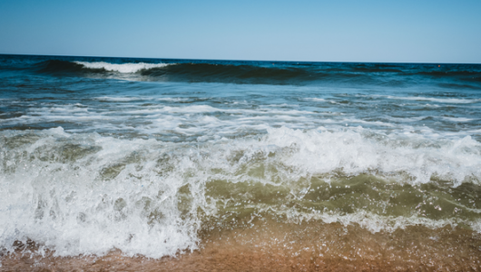 Балтика опережает Чёрное море: где комфортнее купаться на выходных