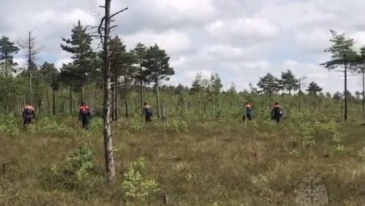 «Провел трое суток в лесу» Что случилось с мужчиной, пропавшим около болота Целау в Калининградской области