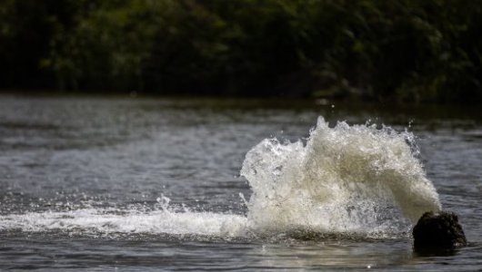 Алкоголь и вода - смертельная комбинация: инцидент на озере в Калининграде