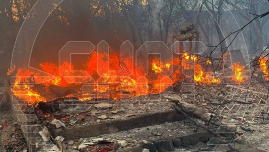 Названа предварительная причина страшных лесных пожаров в Краснодарском крае (ВИДЕО)