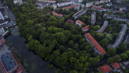 В мэрии Калининграда рассказали, когда начнут благоустраивать Каштановый парк