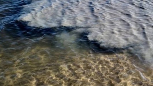 «Море стало больше похоже на канализацию» Стало известно, из-за чего вода около пляжа в Пионерском окрасилась в серый         