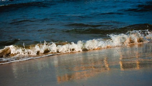 Можно ли сегодня купаться в Балтийском море. Краткий обзор ситуации на пляжах в Калининградской области