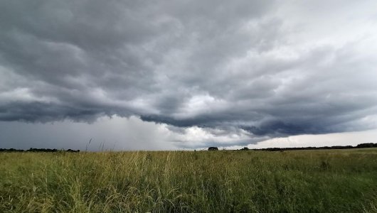 Волновой циклон накрыл регион. Прогноз погоды в Калининграде на 5 августа