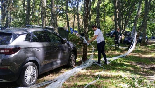 Рейд по выявлению природных нарушений провели на пляже в поселке Куликово (ФОТО) 