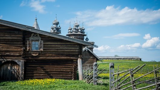 Селфи с коровой за 60 тысяч. Избинг захватывает российскую молодежь