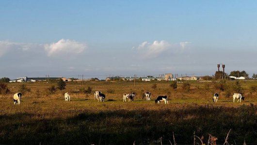 В ожидании бабьего лета. Прогноз погоды в Калининграде на 7 октября